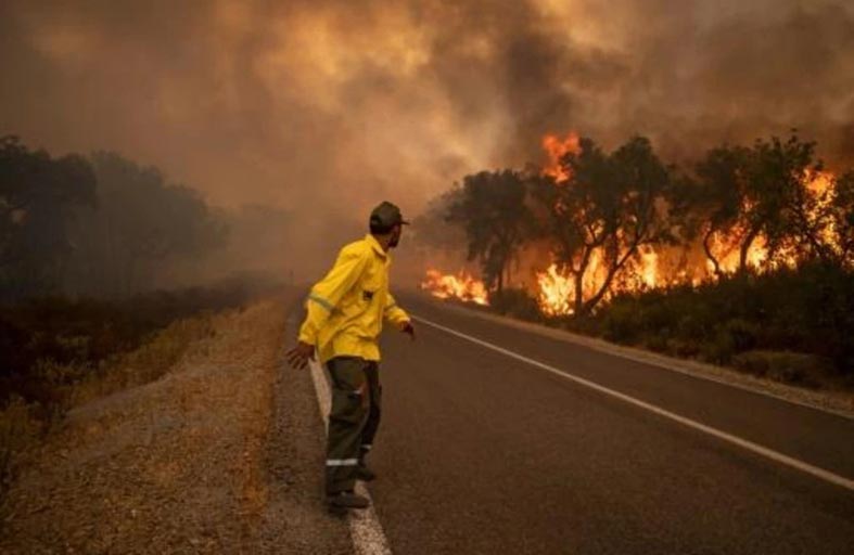 تكثيف الجهود للسيطرة على حرائق المغرب 