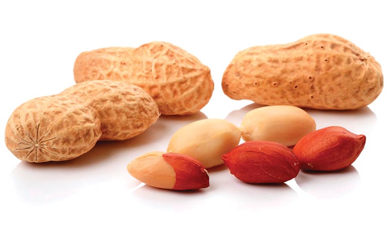 فوائد الفول السوداني