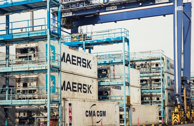 موانئ دبي تنضم إلى منصة تريدلينز لرقمنة سلاسل التوريد العالمية