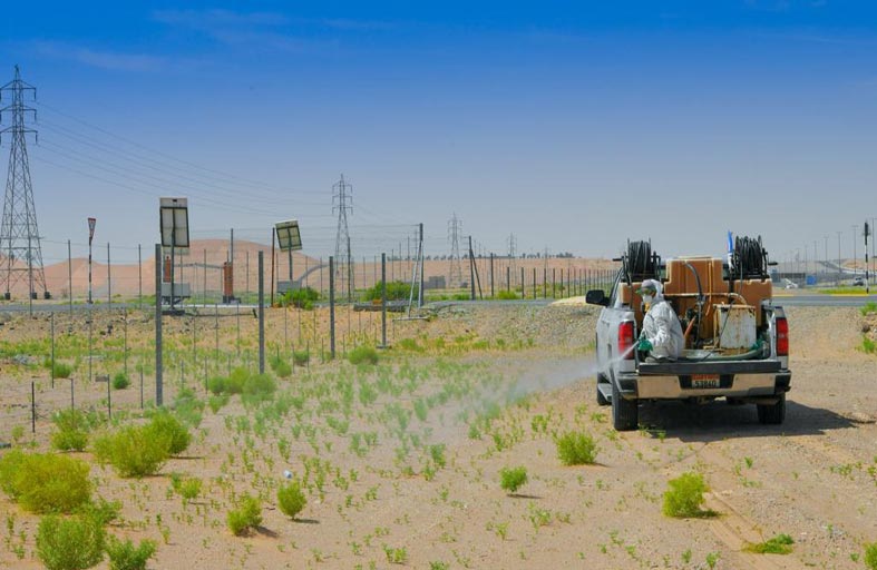 أبوظبي للزراعة تحكم السيطرة على الجراد الصحراوي 