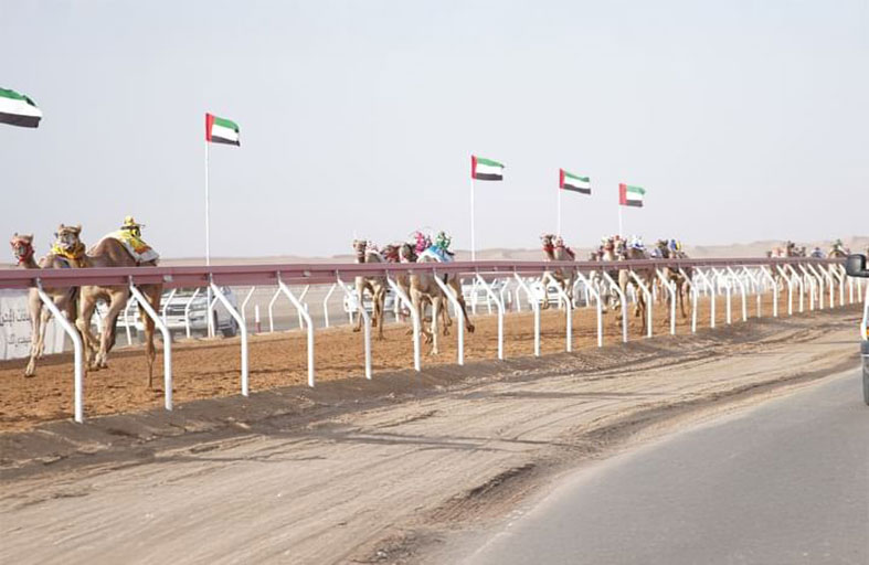 «العملة» تحصد لقب أول أشواط «اللقايا» بمهرجان العين لسباقات الهجن