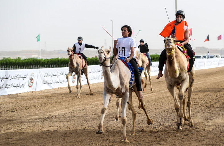 اليوم انطلاق منافسات جائزة زايد الكبرى لسباقات الهجن 2022 بميدان الوثبة 