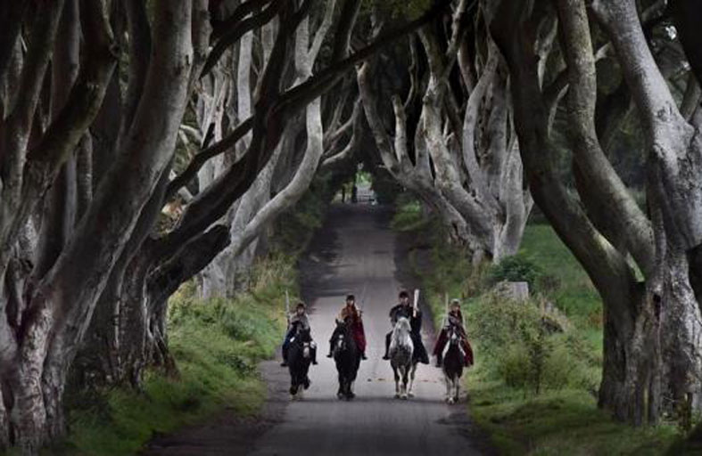 إيرلندا تقطع أشجار مسلسل لعبة العروش الشهيرة