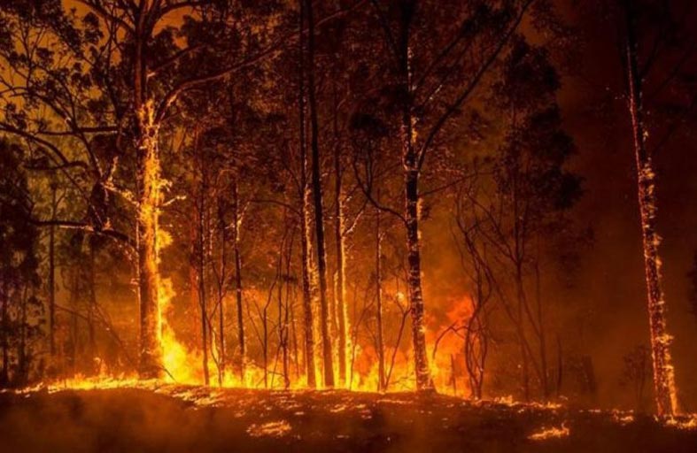 حريق في أستراليا يهدد حياة السكان والمنازل قرب بيرث