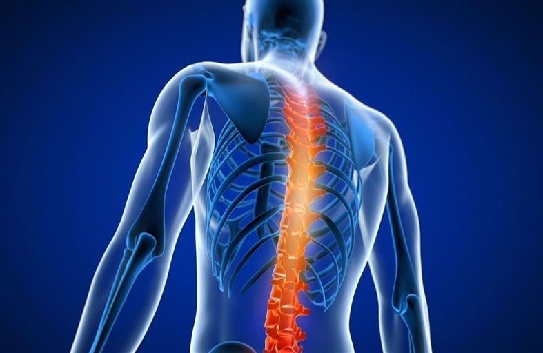 كيف تتعامل مع آلام فقرات الظهر؟