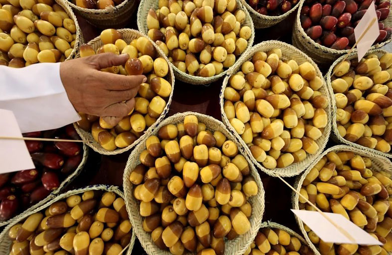 الرطب شاهد على التأسيس وعنوان للكرم والضيافة في عام المجتمع