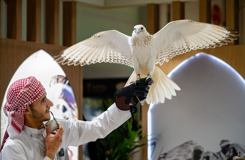 «أبوظبي للصيد والفروسية» يستقبل الزوار بفعاليات استثنائية في عطلة نهاية الأسبوع