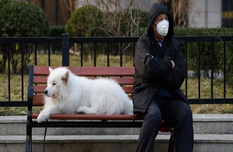 عضة الحيوانات الأليفة تنقل عدوى كورونا