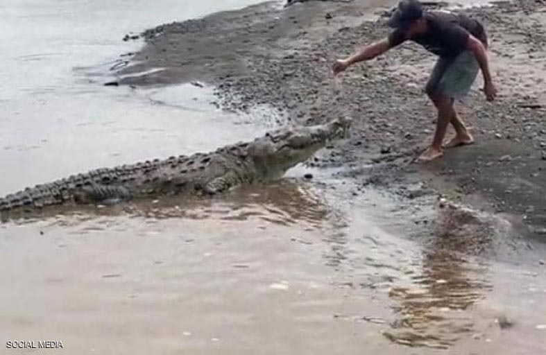 يستعرض مواهبه مع تماسيح عملاقة