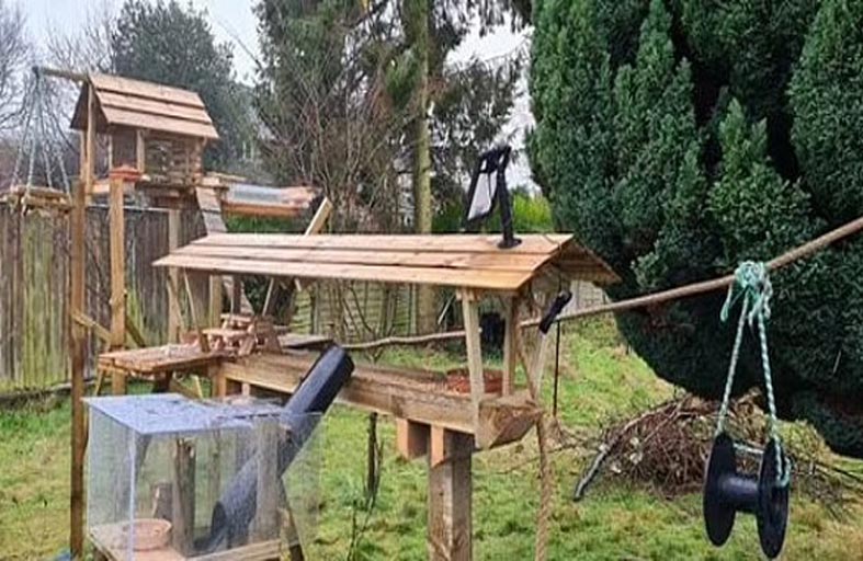 يصمم مجمعاً مصغراً للسناجب في حديقة منزله