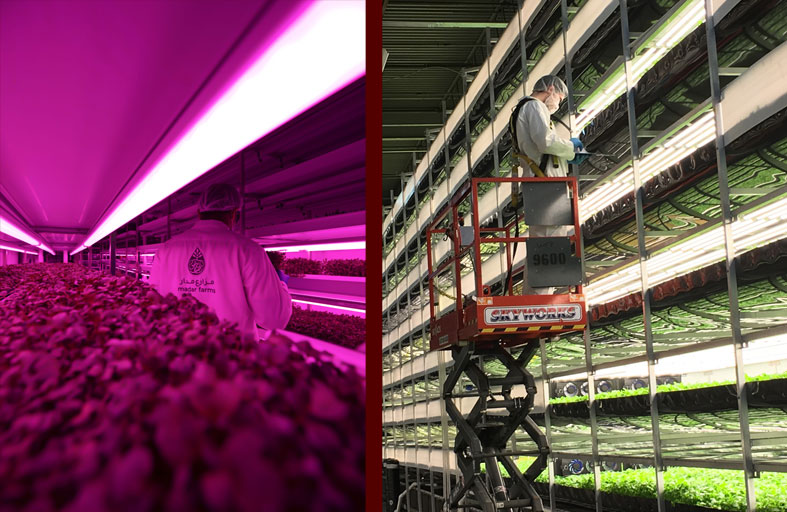 «مكتب أبوظبي للاستثمار» يستثمر 367 مليون درهم في أربع شركات متخصصة بالتقنيات الزراعية لتنمية القطاع في الإمارة