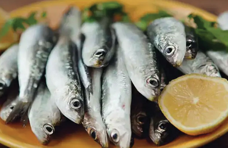 السردين من أبرزها.. أطعمة مفيدة وأخرى مؤذية للبشرة