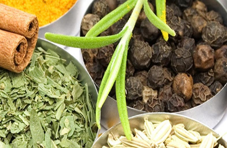 ساي فلافرز تستثمر حوالي 4 ملايين درهم لدعــم خططهــا التوســعية في رأس الخيمة