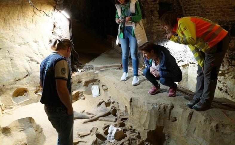 يعثر على عظام عملاقة عمرها 40 ألف عام