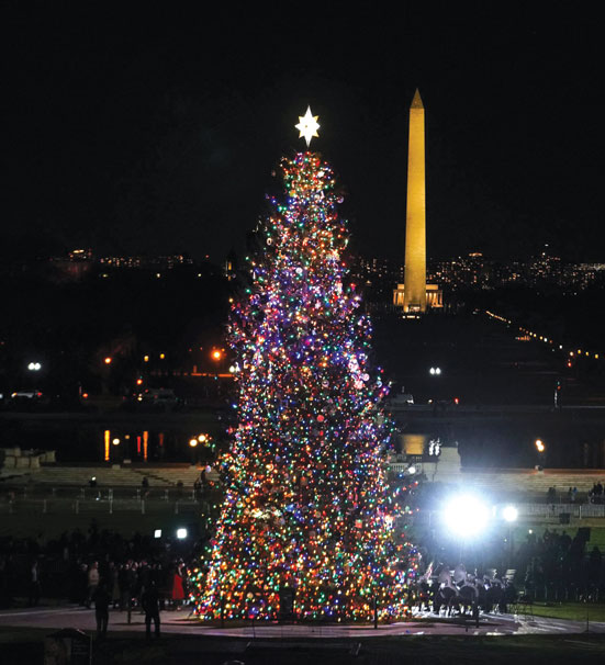 شجرة عيد الميلاد بالقرب من مبنى الكابيتول الأمريكي في واشنطن العاصمة.   “رويترز»
