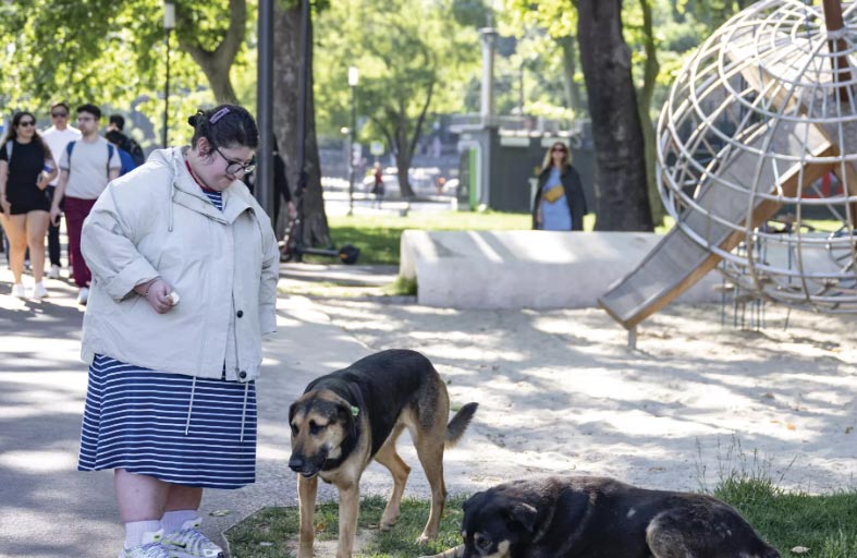 بعد زيادة الضحايا.. تركيا تطارد الكلاب الشاردة