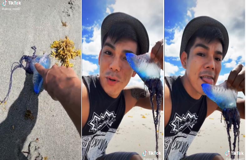 شاب يلمس المخلوق الخطير دون وعي لخطورته