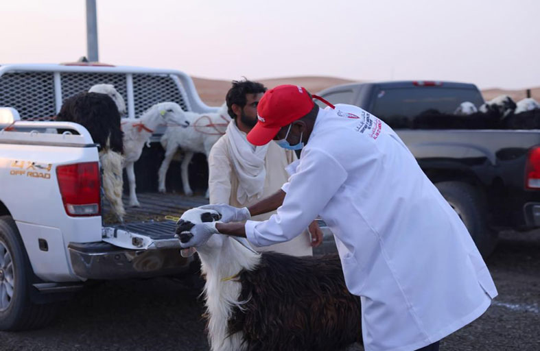 بلدية العين تفتتح سوق الأضاحي والأسر المنتجة في منطقة العامرة