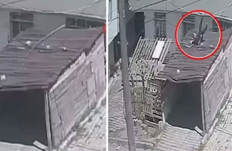 يقفز من النافذة هرباً من الزلزال