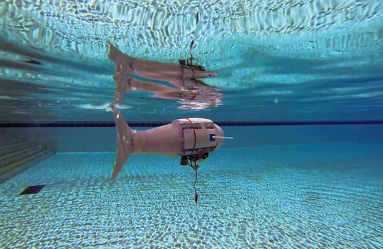 سمك روبوتي لترهيب الأسماك العدوانية