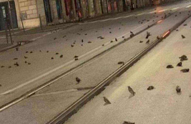 مجزرة في سماء إيطاليا بعد ليلة رأس السنة