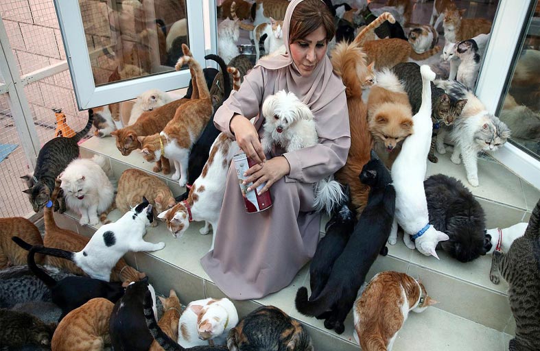 تحول بيتها إلى ملجأ لـ500 حيوان