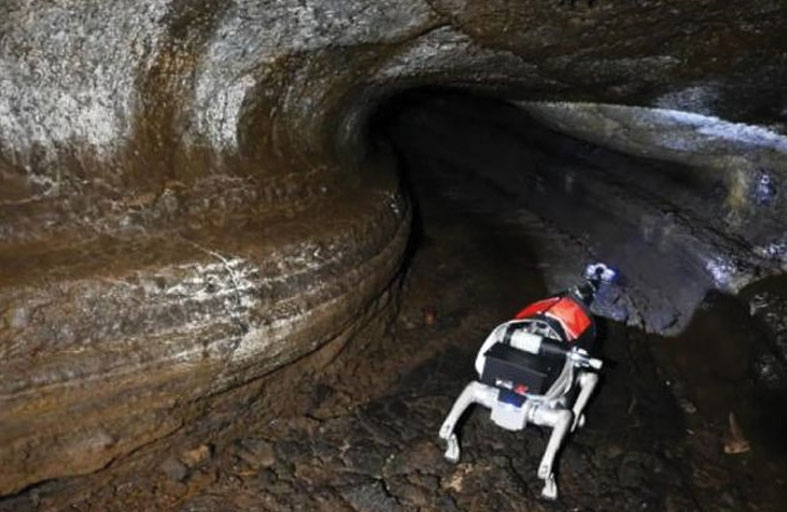 الصين تختبر كلابا آلية استعدادا لرحلة إلى القمر