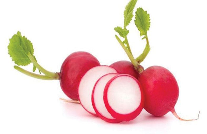   فوائد الفجل