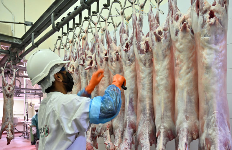 مسالخ أبوظبي تعلن جاهزيتها خلال عيد الأضحى