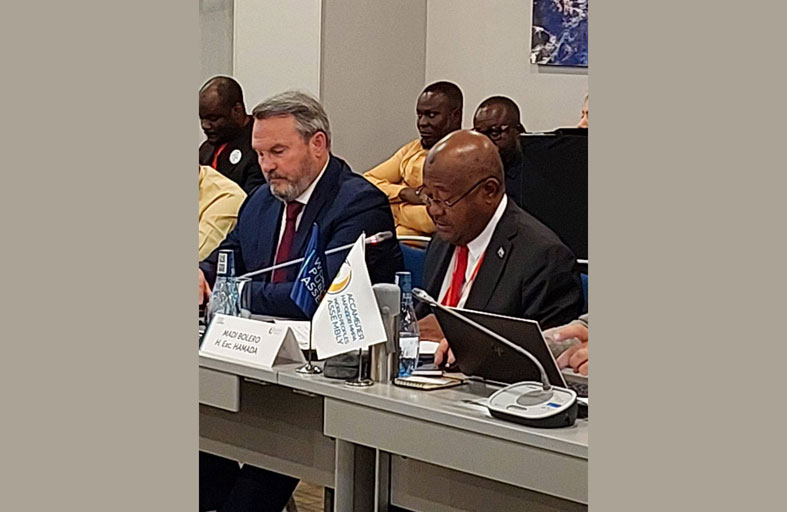 أفريقيا تدعو الغرب للتعاون القائم على الندية والاحترام المتبادل