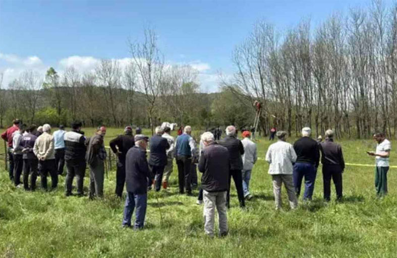 مزارع يموت فوق شجرة