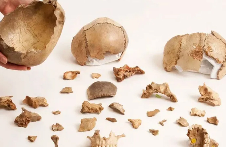 دراسة تكشف عادات أكل لحوم البشر في أوروبا