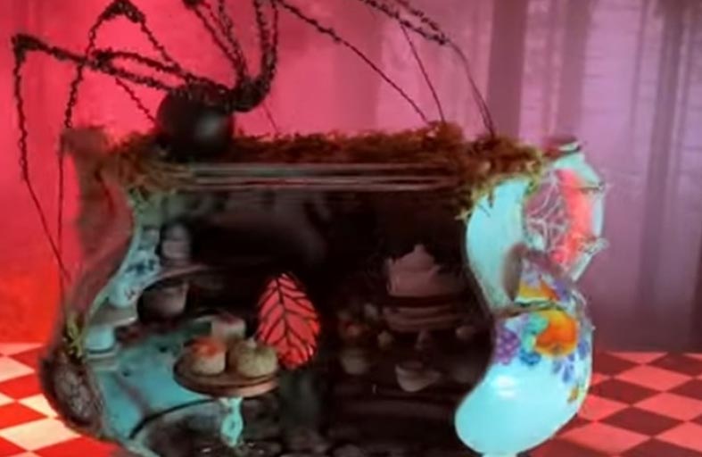 تصنع محل شاي «للعناكب» وتجني الآلاف