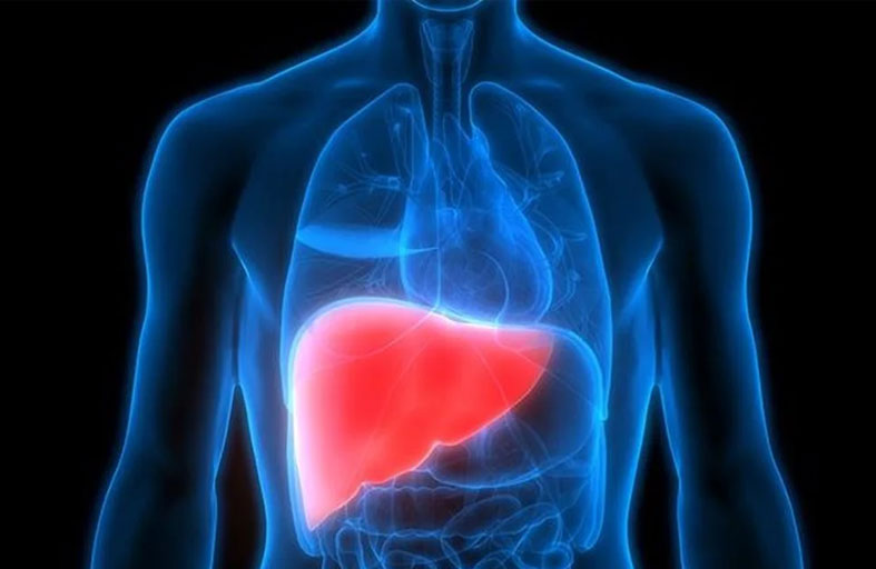 كل ما تحتاج معرفته عن التهاب الكبد B وC