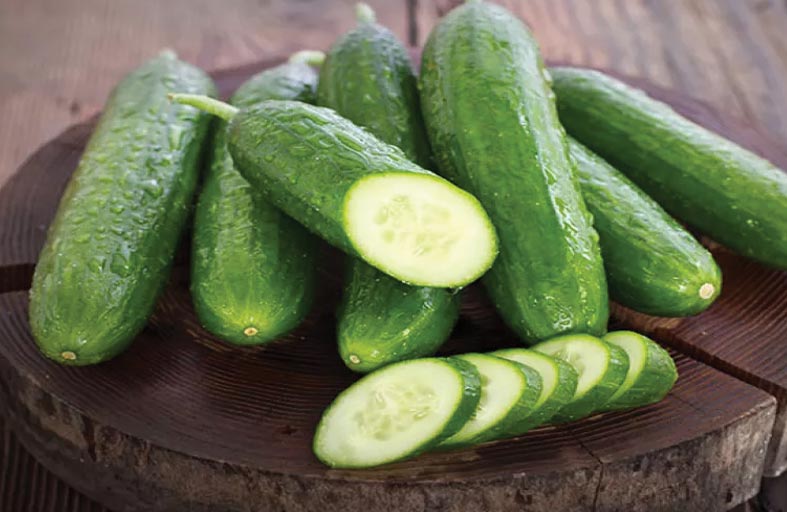 هل الخيار مغذ فعلا أم أنه مجرد ماء؟