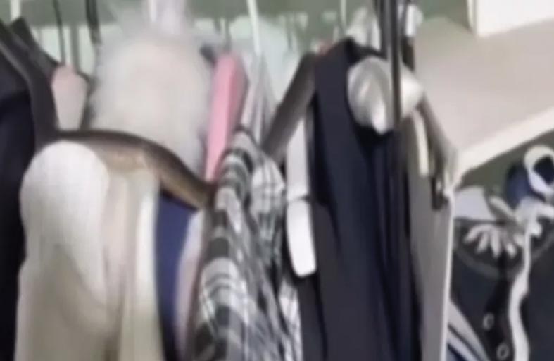 أفعى في خزانة الملابس