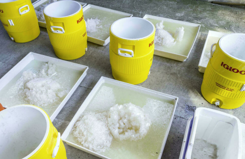 بلجيكا وهولندا طريق رئيس لدخول الكوكايين إلى أوروبا 