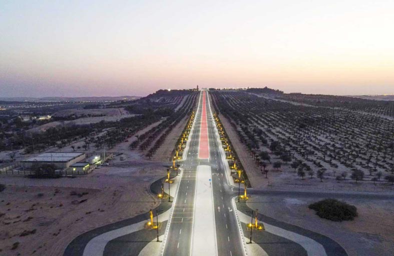 اكتمال تأهيل مدخل القصر بمدينة ليوا  