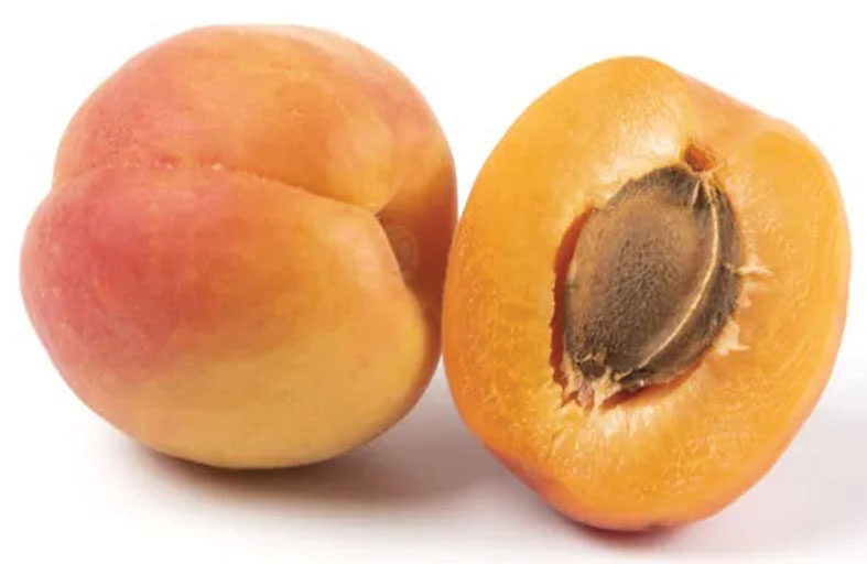 المشمش والشيخوخة 