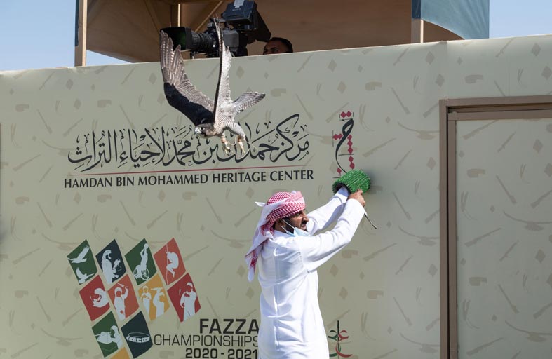 انطلاقة قوية لأشواط «العامة» في بطولة فخر الأجيال للصيد بالصقور «التلواح»