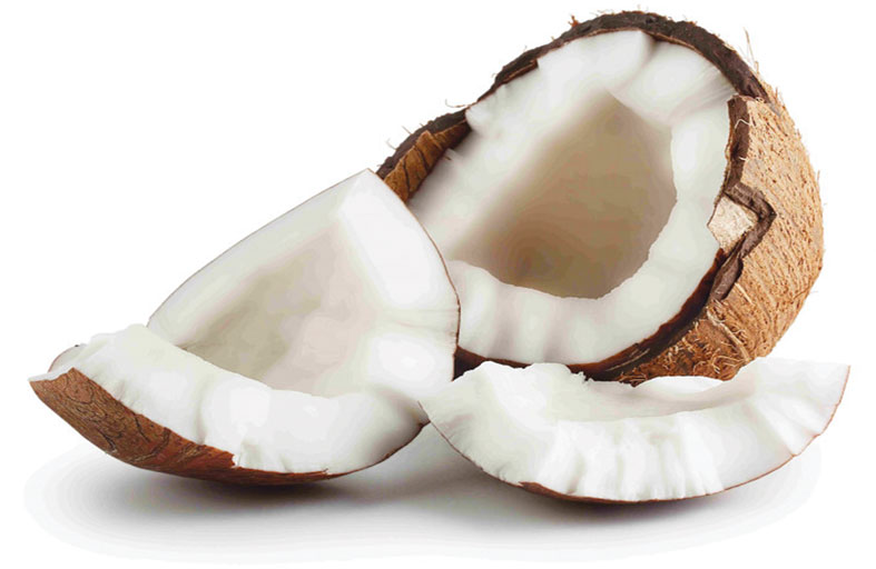 فوائد  جوز الهند