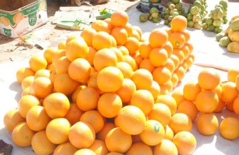 لطيفة تبحث عن رزقها بمهنة رجالية