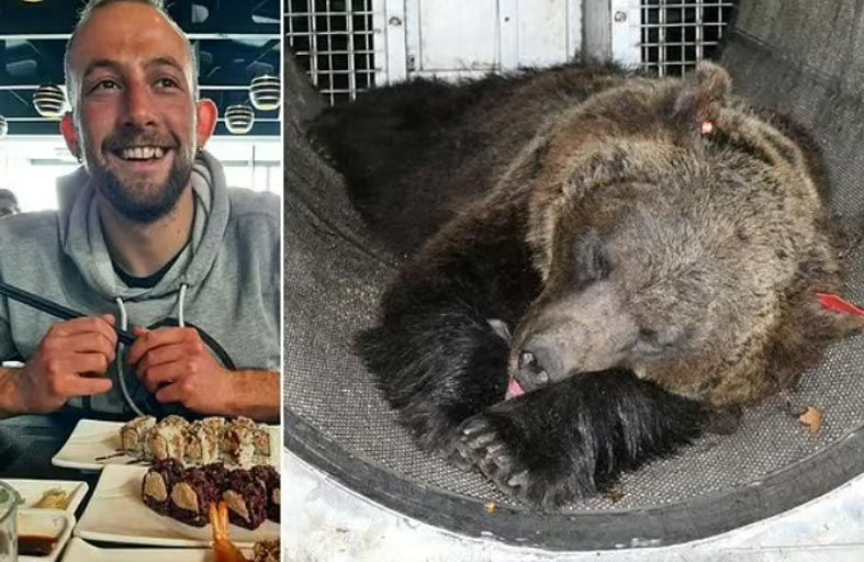 إبعاد أنثى دب قتلت شابا من إيطاليا