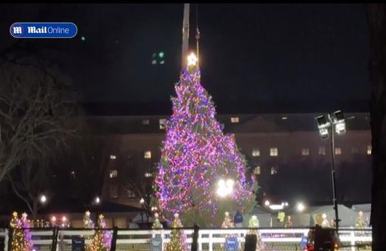 سخرية واسعة بعد سقوط شجرة الكريسماس في البيت الأبيض