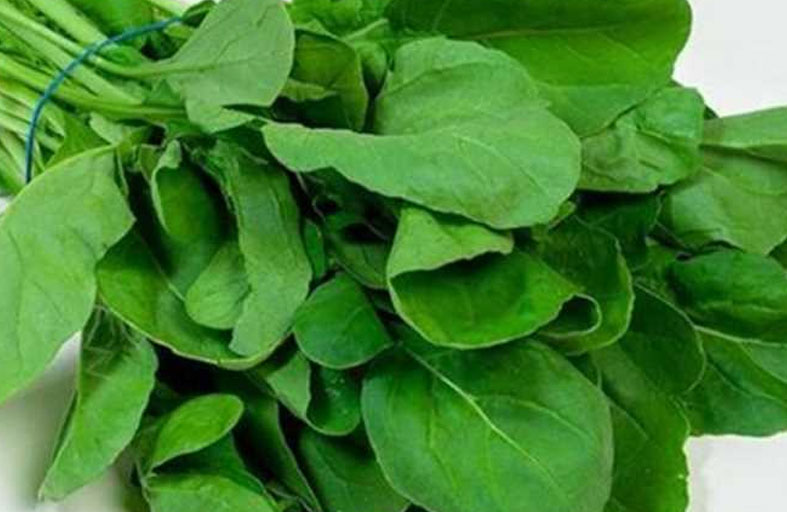 ماهي فوائد الجرجير؟