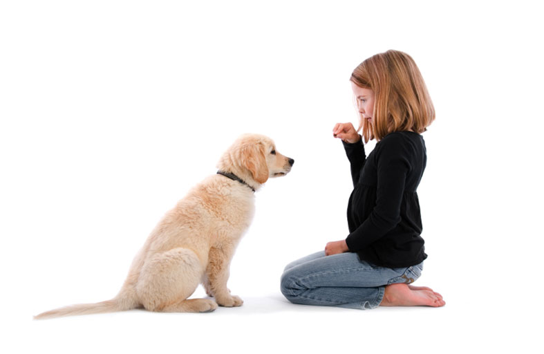 دراسة.. اقتناء كلب وليس قطة يقلل احتمالات إصابة الطفل بالربو