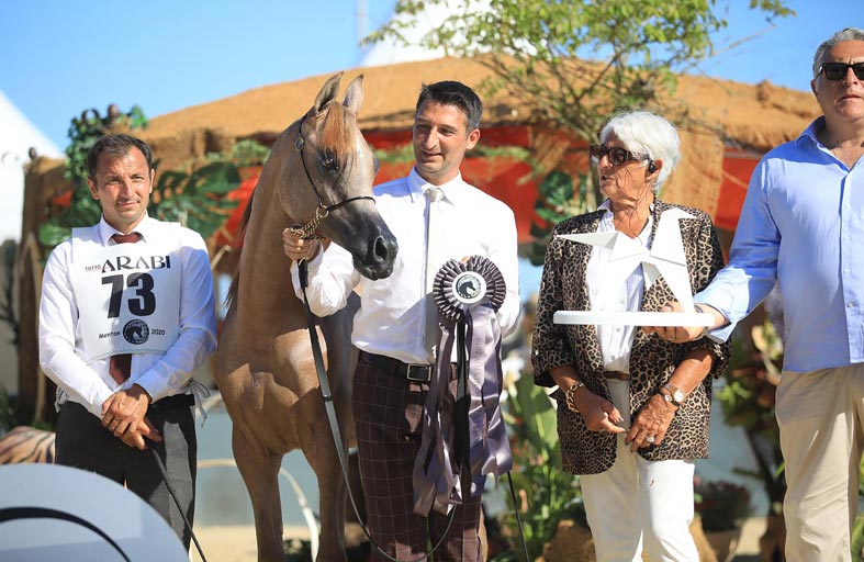 مربط دبي ينال لقب أفضل مربي في منتون الدولية 2020 ويحافظ على مركزه الأول في تاريخها