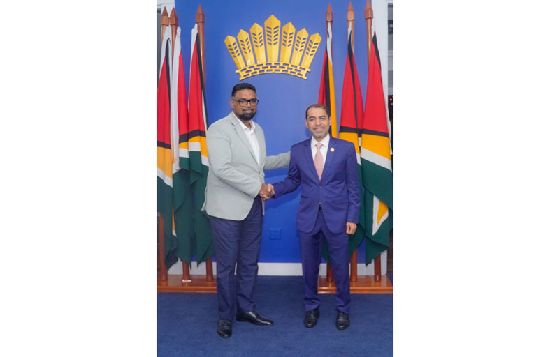  سفير الإمارات يلتقي رئيس غويانا التعاونية 