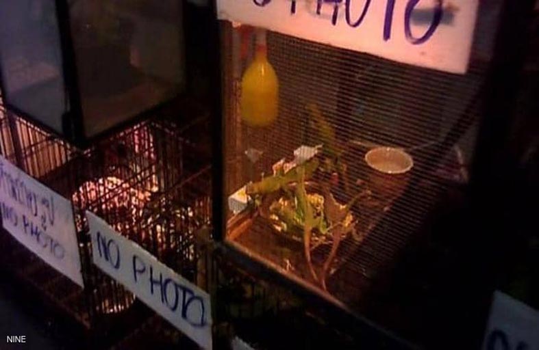 كاميرا سرية تكشف أوكار بيع الحيوانات 