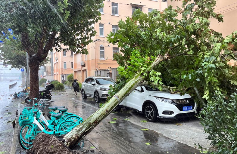 شنغهاي تشهد أقوى إعصار منذ 75 عاما 